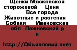 Щенки Московской сторожевой  › Цена ­ 25 000 - Все города Животные и растения » Собаки   . Ивановская обл.,Лежневский р-н